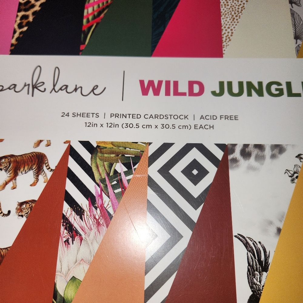 Park Lane Wild Jungle 12"x12" 24 sheets printed cardstock Scrapbooking Crafts - Picture 3 of 7